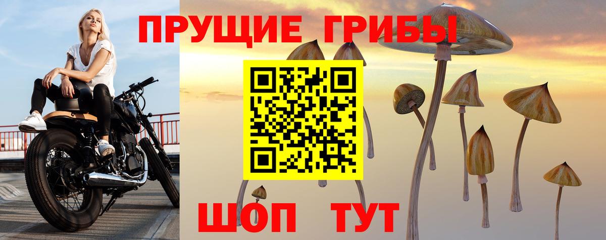 как найти закладки  Галлюциногенные грибы MAGIC MUSHROOMS  Саяногорск  Вход с VPN  Псилоцибиновые грибы ЛСД 