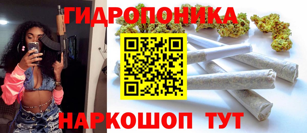 Канабис OG Kush Саяногорск